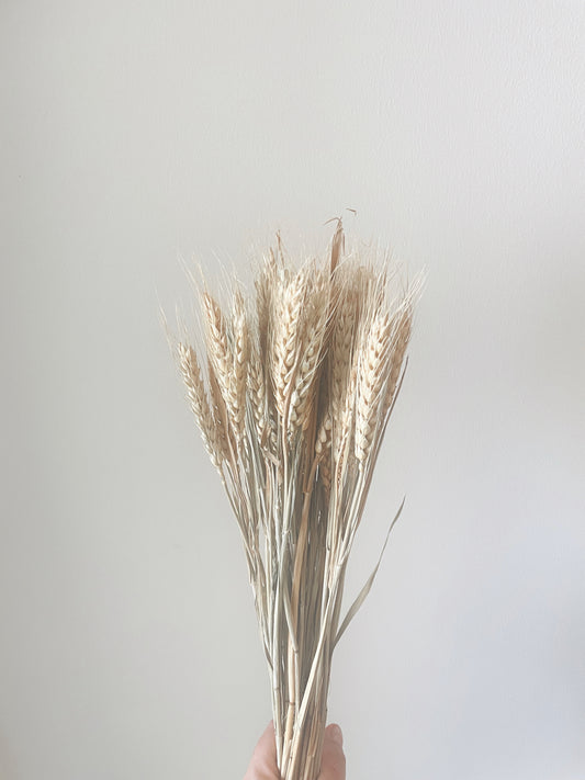 WHEAT BUNCH-bohokingdom-boho,Boho decor,Boho Kingdom,bohochic,bohodeco,bohodecor,dried flowers,homedecor,weaht