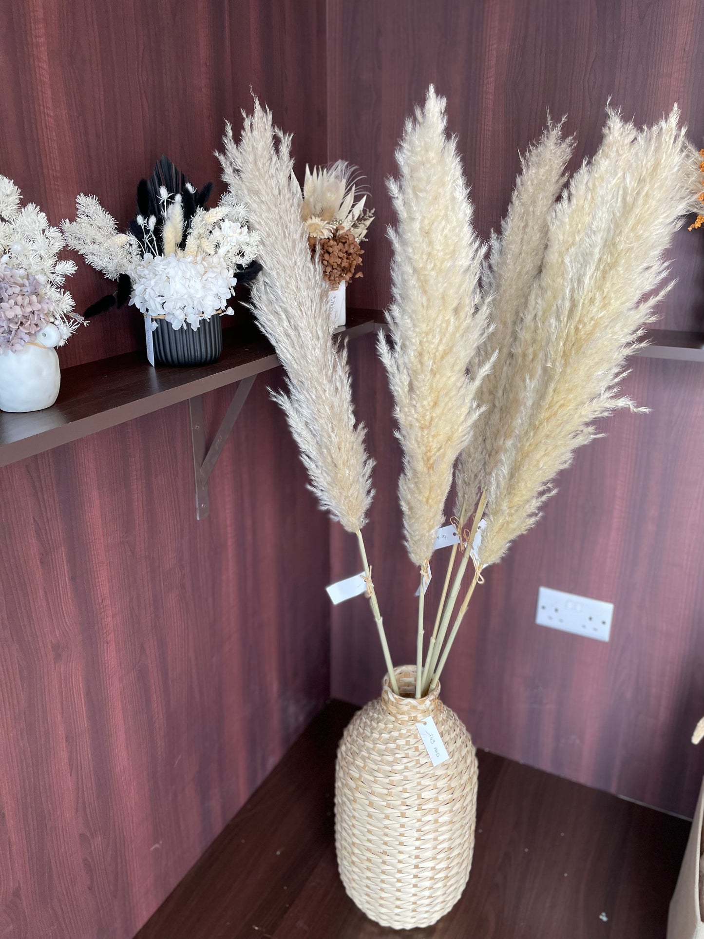 PAMPAS GRASS BEIGE FLUFFY-bohokingdom-