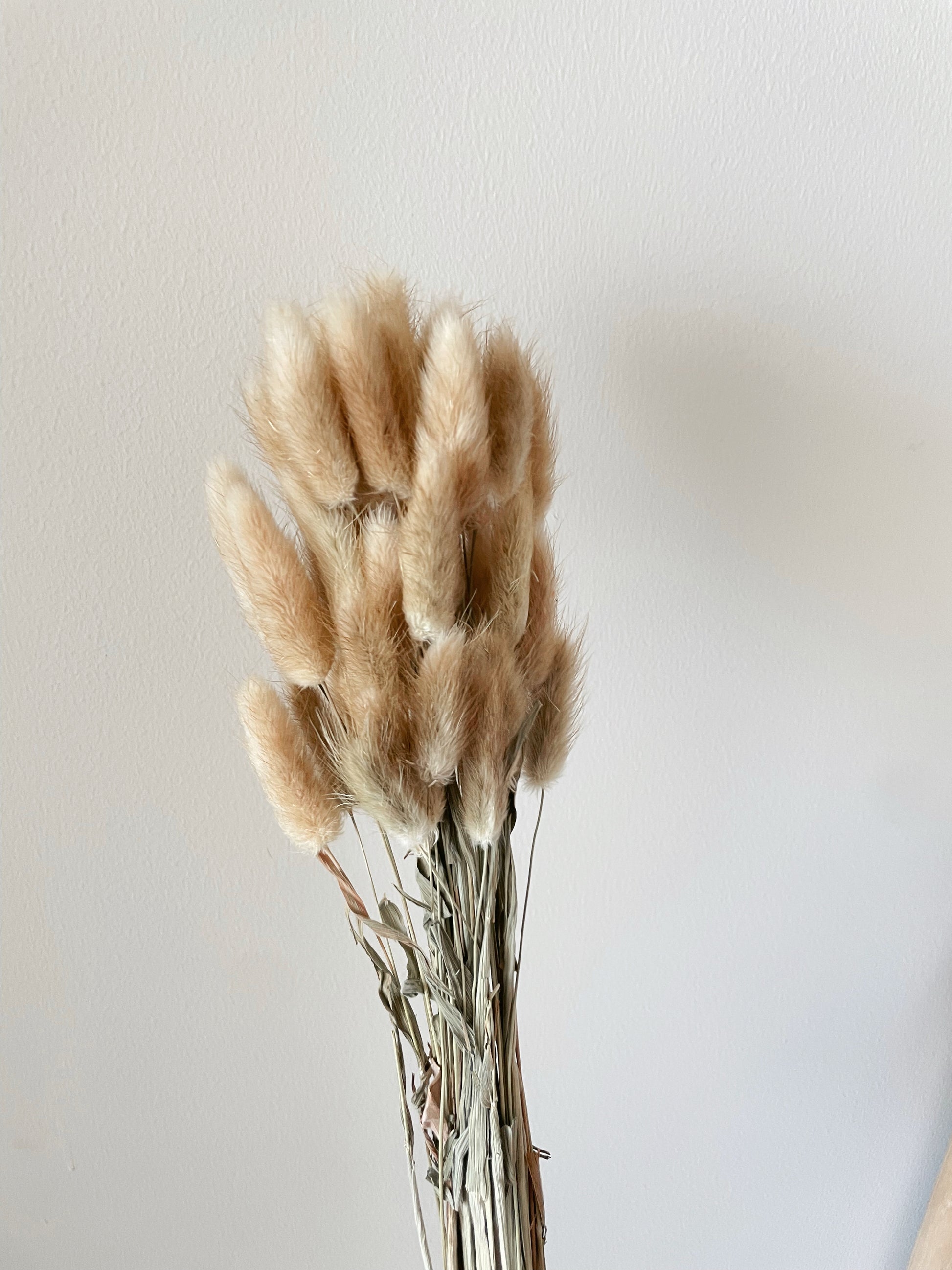 BUNNY TAILS BUNCH - BROWN-bohokingdom-