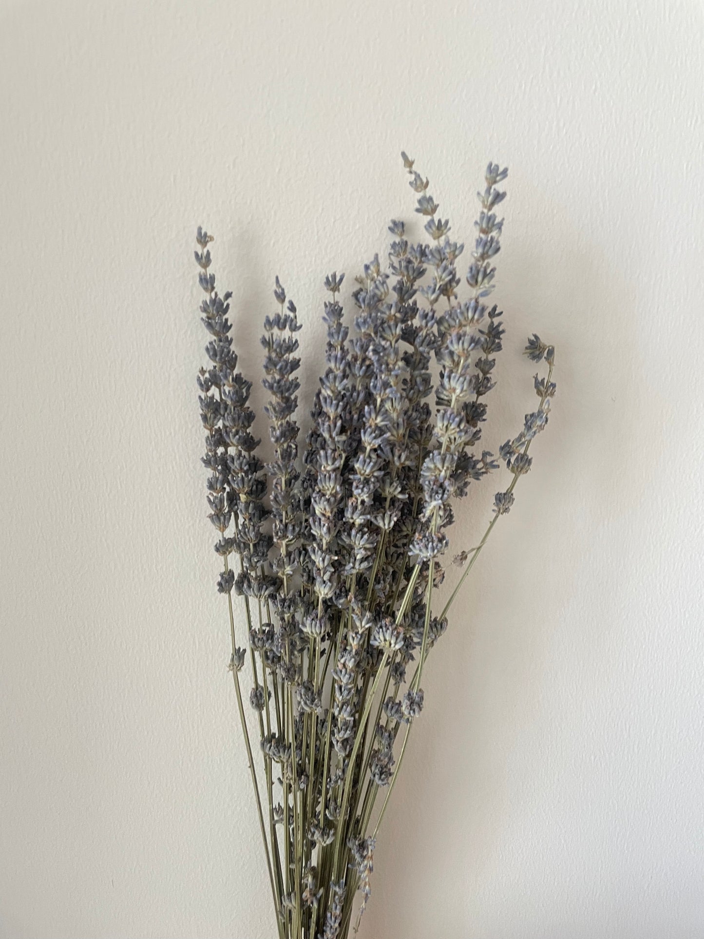 LAVENDER BOUQUET-bohokingdom-boho,Boho decor,Boho Kingdom,bohochic,bohodeco,bohodecor,dried flowers,lavender