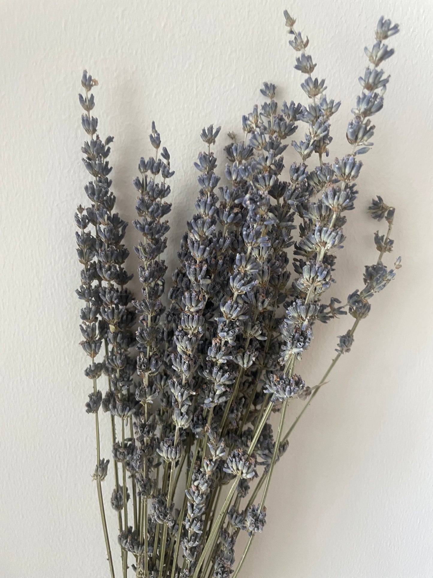 LAVENDER BOUQUET-bohokingdom-boho,Boho decor,Boho Kingdom,bohochic,bohodeco,bohodecor,dried flowers,lavender